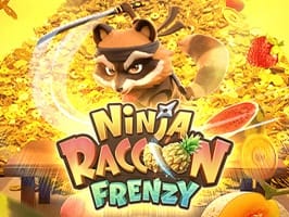Ninja Raccoon Frenzy thumbnail