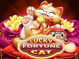 Lucky Fortune Cat thumbnail
